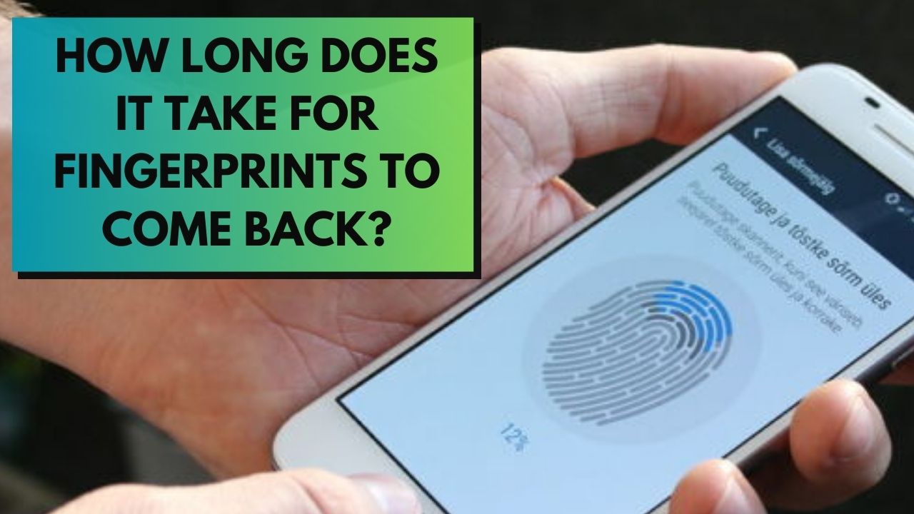 How Long Does It Take For Fingerprints To Come Back 0893